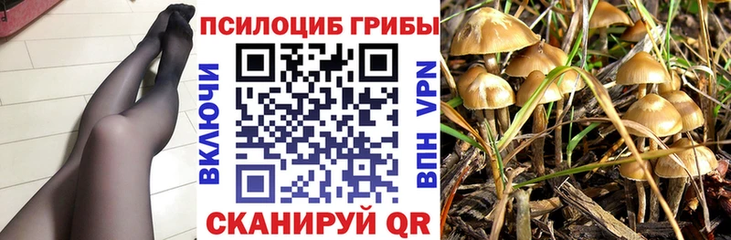 купить  сайты  Байкальск  Галлюциногенные грибы GOLDEN TEACHER 
